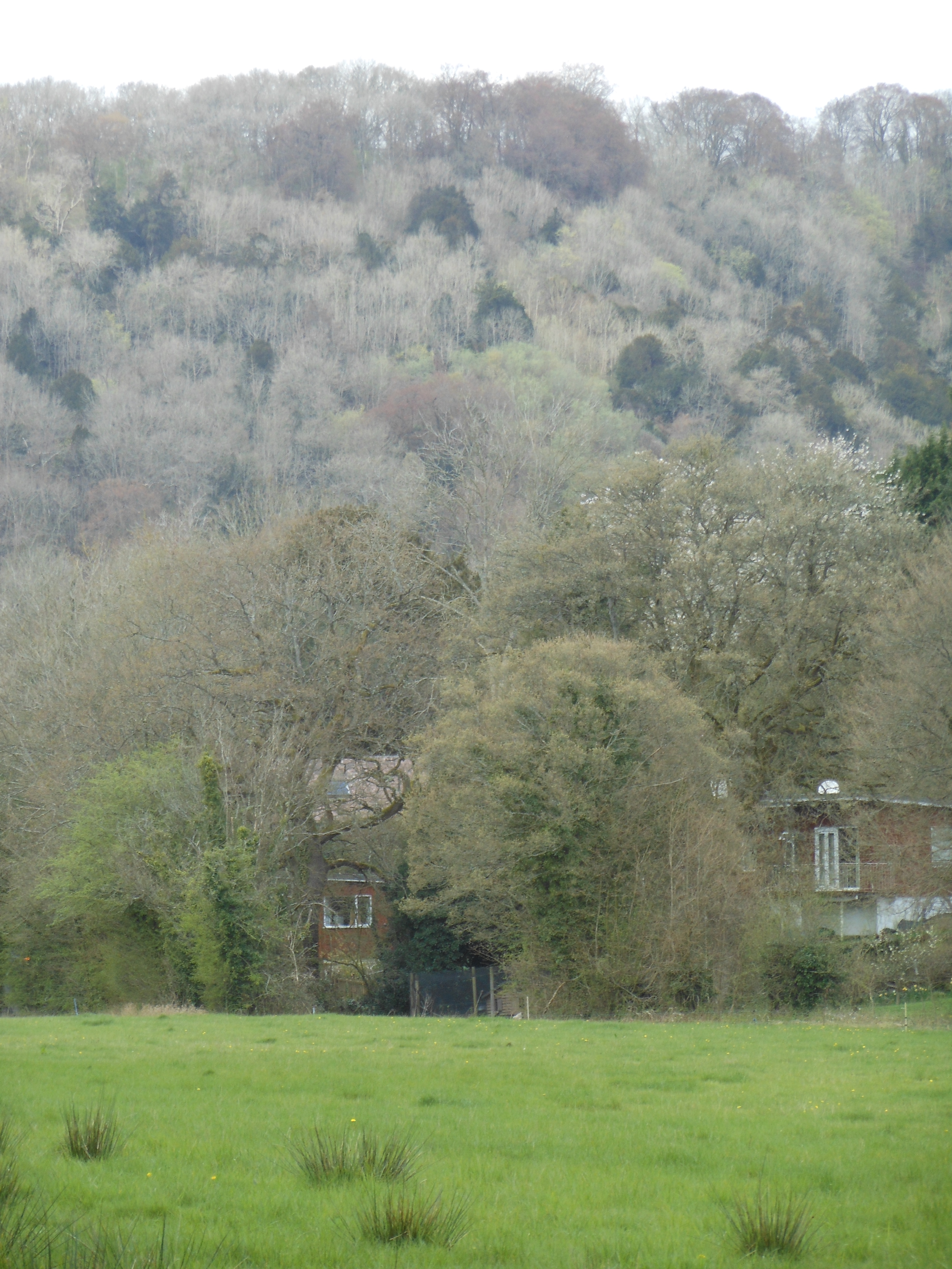 Well Dressings Bakewell